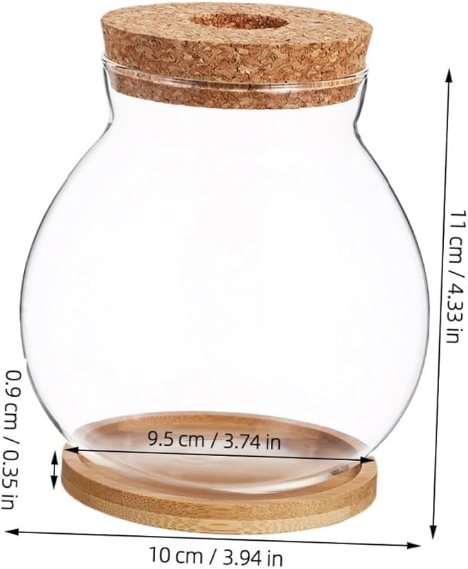 Small Hydroponic Glass Fish Tank with Lid, Mini Betta Fish Bowl 10x11cm with Mat for Desktop Aquarium Terrarium Decor