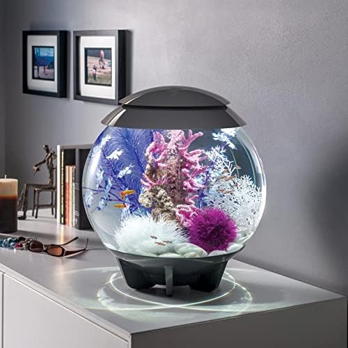 biOrb Halo 15 Acrylic 4-Gallon Aquarium with Multi-Color Remote-Controlled LED Lights, Gray