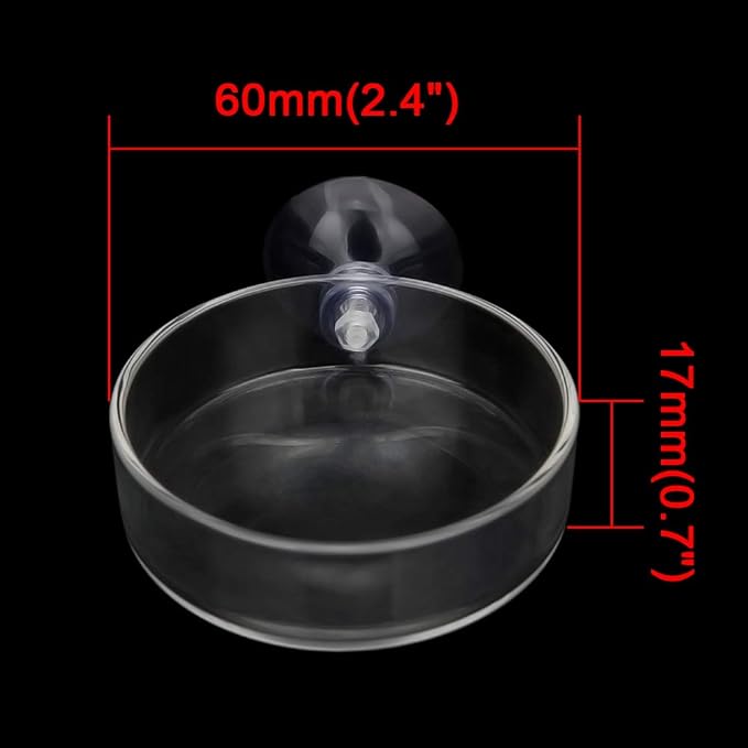 Senzeal 2PCS Shrimp Feeding Dish Glass Aquarium Fish Tank Reptiles Round Feeder Bowl with Suction Cup