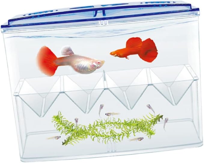 Happyyami 1pc Fish Hatching Isolation Box Freestanding Self-Floating Breeding Tank Design for Safe Fry Incubation and Enhanced Air Circulation