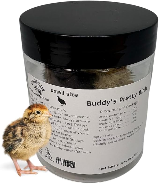 Undique Whole Quail for Carnivore Pets - Premium Quality Natural Pet Treats - Natural Prey Feeding - Freeze-Dried for Essential Nutrients and Enzymes - Quality Protein Source Small Size 5 Count