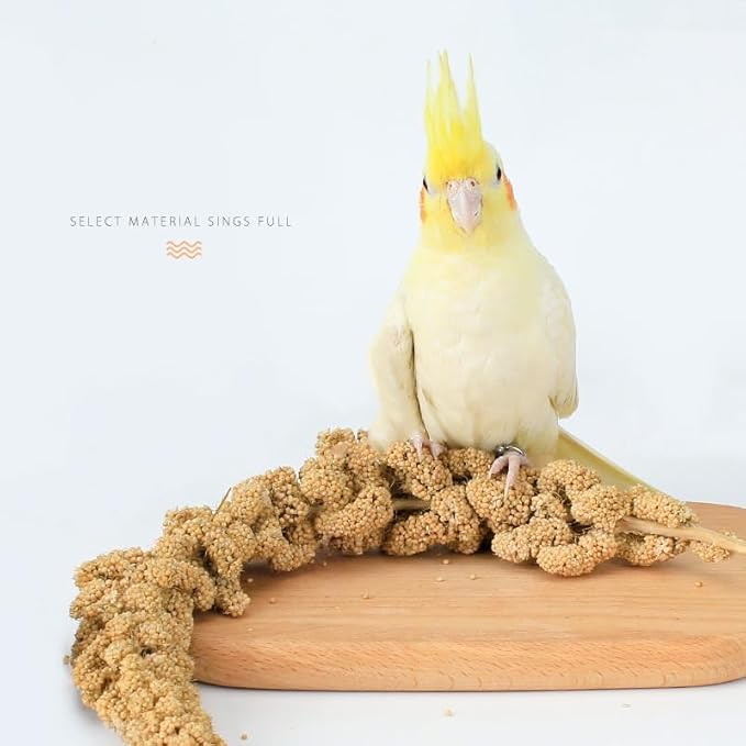 MANON ROSA Natural Spray Millet Healthy Bird Treat and Supplement for All Pet Birds Cockatiel Budgie Finches Parrots Hamster (S(5))