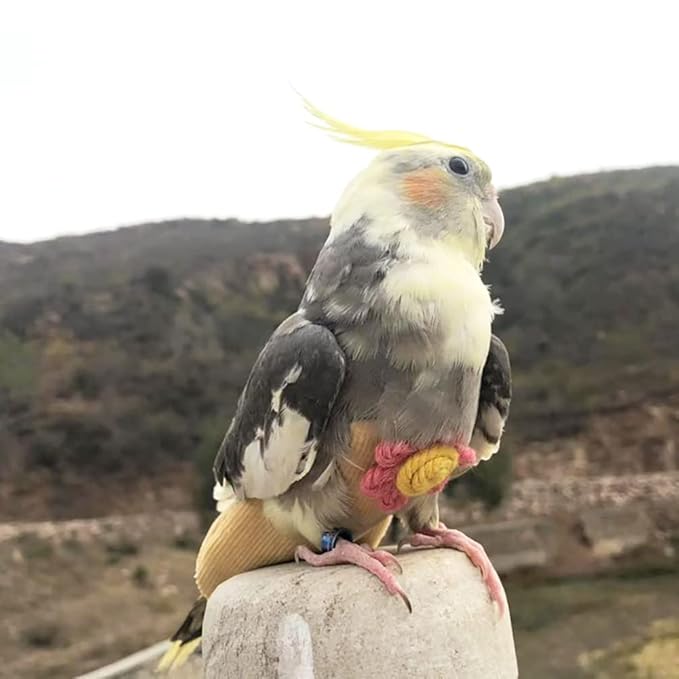 WAYUTO Pet Bird Diapers Cute Sun Flower Parrot Flight Suit with Elastic Strap Harness Equippable Washable Liners Cockatiel Clothes Nappy Light Weight Warm for Small Birds Cosplay Photo Prop
