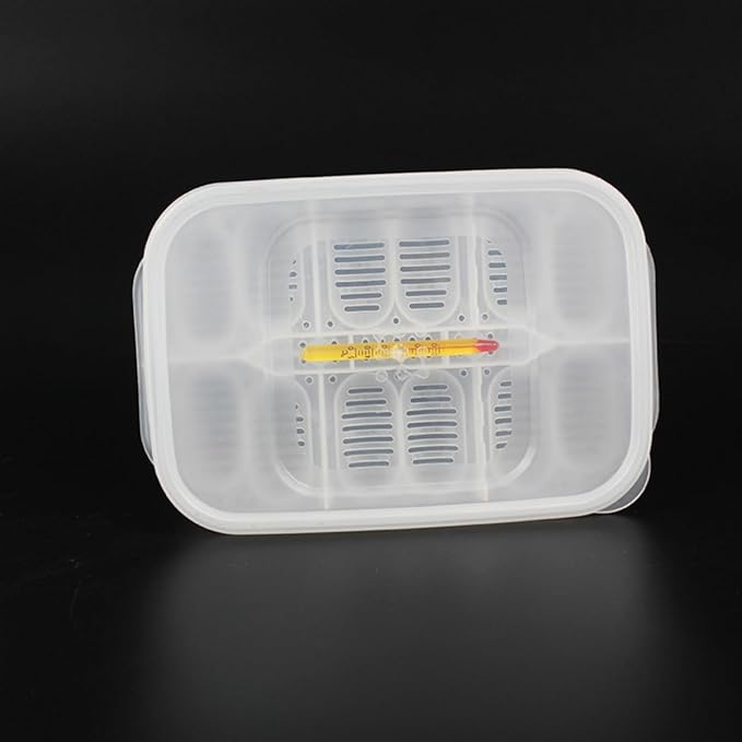Angoily 3Pcs Transparent Reptile Egg Box Set with Thermometer for Snake and Lizard Egg Incubators 2.56X1.7X2.32 Inch Breeder Tray for Easy Observation and Cleaning