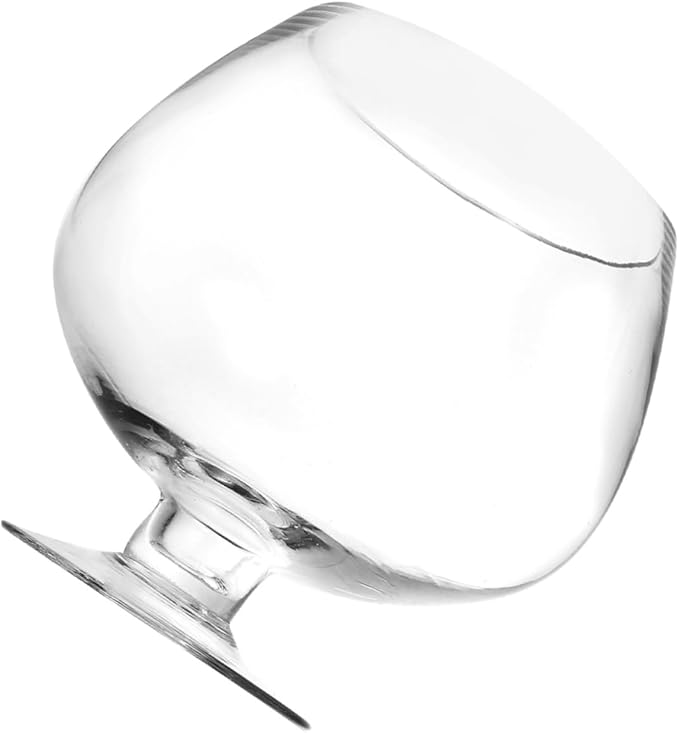 Clear Glass Fish Bowl Vase Capacity Transparent Desktop Aquarium for Fish and Hydroponic Plants Centerpiece for Home Office Decor