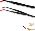 2 Pcs Reptile Feeding Tongs – Stainless Steel Aquarium Tweezers with Rubber Tips, Straight & Curved Long Handle for Bearded Dragons, Lizards, Snakes, Spiders & Terrarium Feeding