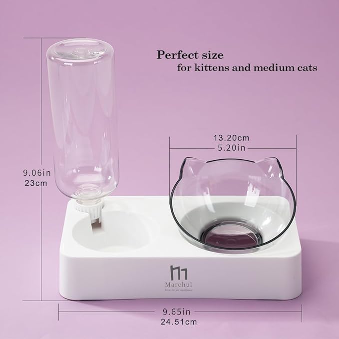 Marchul Double Elevated Dog Cat Bowl, Pets Water and Food Bowl Set, 15° Raised Tilted Dishes Indoor for Kitten, Puppies, Small or Medium Size Dogs Cats
