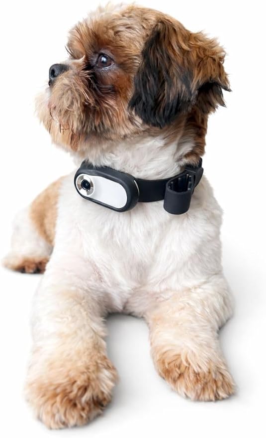 Dog Collar Camera 1080P HD – Dog POV Camera with 170° Wide Angle Lens, Mini Action Camera for Dogs, Video Recording with Micro SD Card, Lightweight Pet Body Cam (No WiFi)