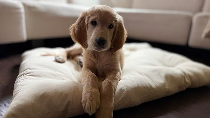 Rectangular Muslin Dog Bed Insert with Raw Cotton Filler, Natural Pet Bed Cushion Insert, Breathable Inner Pillow for Dog Bed Covers (Medium 36"x22"x4")