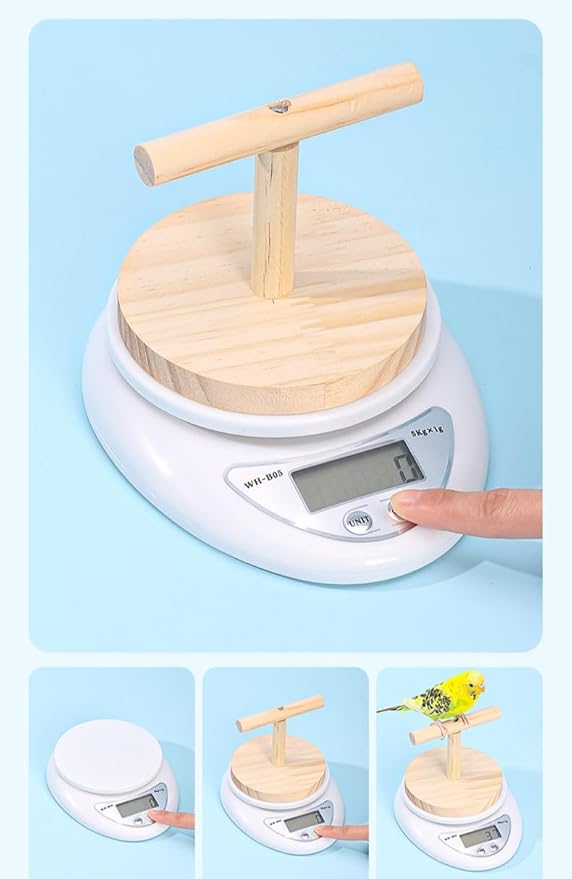 OMEM Accurate & Durable Parrot Special Scale Bird High Accuracy Scale with Wood Platform, Ideal for Monitoring Birds' Health