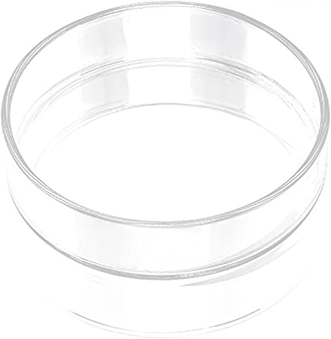 SunGrow Tough Borosilicate Glass Shrimp & Gecko Feed Dish, Wide and Deep, Transparent Basin for Shrimp Food, Dog & Cat Medicine Holder