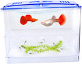 Happyyami Fish Breeding Tank Fish Aquarium Kit Hatching Box Incubator Safe Breeder Box