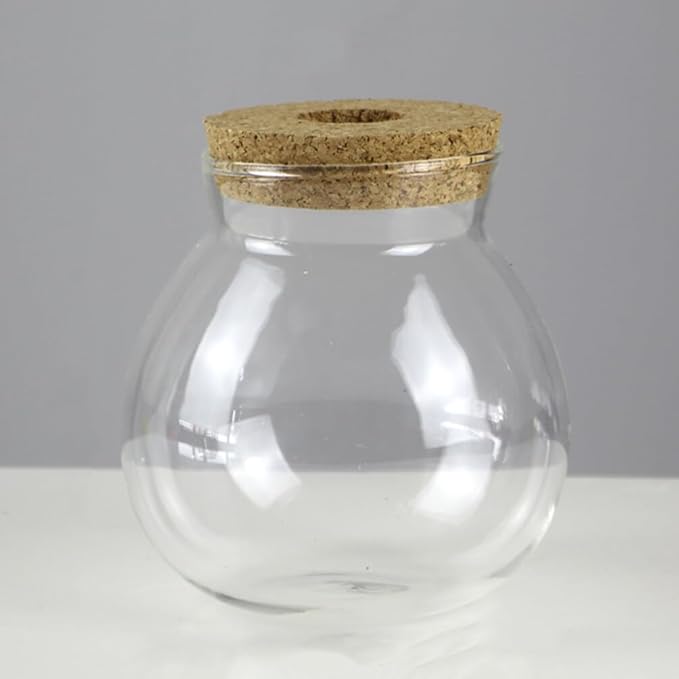 Balacoo glass fish tank propagation jars glass terrarium with cork terrarium jar goldfish bowl glass hydroponic vase small terrarium desktop aquarium fish bowl terrarium glass jar plant