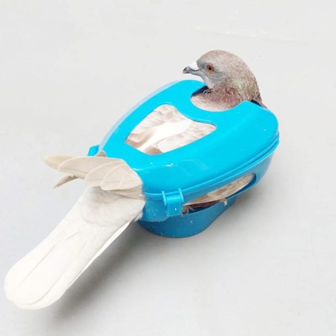 Plastic Racing Pigeon Holder, Thickened Carrier Supportor Pigeon Injection Holder for Feeding Pigeons Fixed Mount Bird Supply
