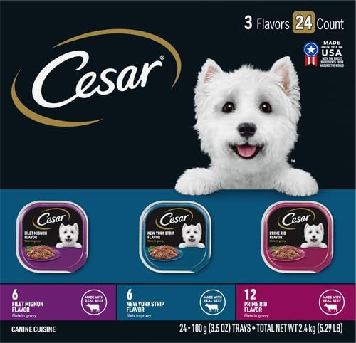 Cesar Filets in Gravy Adult Wet Dog Food Variety Pack, Filet Mignon, New York Strip, and Prime Rib Flavors, 3.5 oz. Easy Peel Dog Food Tray, 24 Count (Pack of 1)