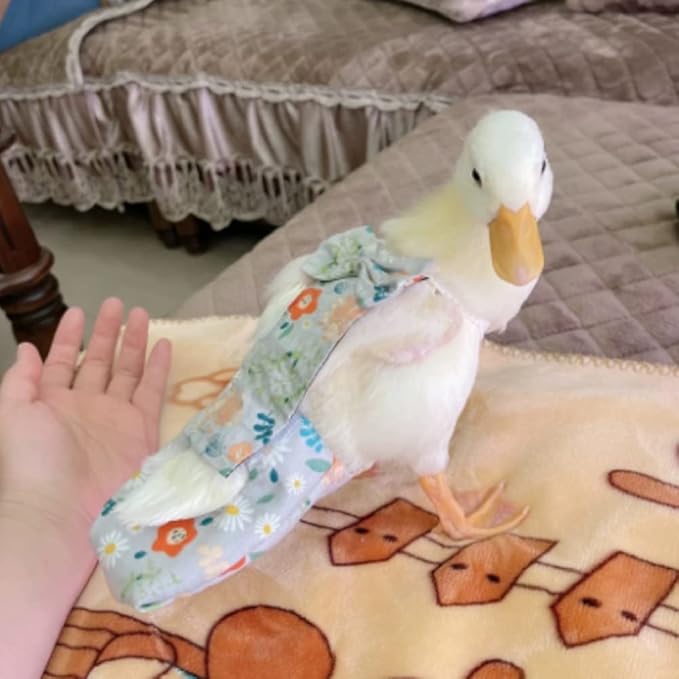 Special Diapers for Poultry - Waterproof, Adjustable, Washable and Reusable for Chicken, Duck and Goose - Poultry Supplies (100g-200g)