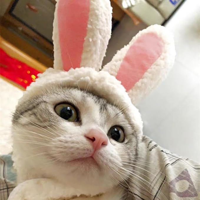 Cat Outfit Cats Hat Kitten Costume Bunny Sheep Lion Mane Frogs Hat Cute OMG Adorables Style Party Costume Accessory Headwear(Size M, Bunny)
