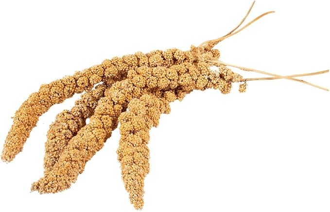 A&E Cage Company - 5lb French Millet Spray - Parakeets, Cockatiels, Lovebirds, Finches, Budgies, Canaries, Cockatoos - Natural & Healthy Millet for Birds