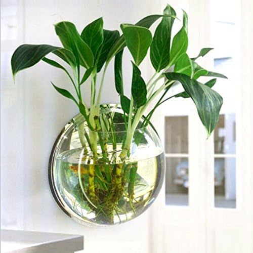 Acrylic Wall Mounted Fish Bowl, Hanging Aquarium Transparent Plastic Bubble Gold & Betta Fish Tank,Round Pot Flower Plant Vase Home Decoration (M: 235mm)