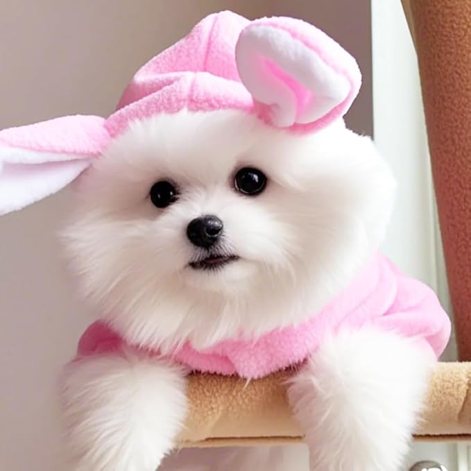 ANIAC Bunny Ears Cat Costume Plush Dog Hoodies with Pocket Sweater Cute Kitten Cat Clothes Warm Rabbit Ears Outfit with Hood for Small Dog Cat and Puppy (Pink-2, Medium)