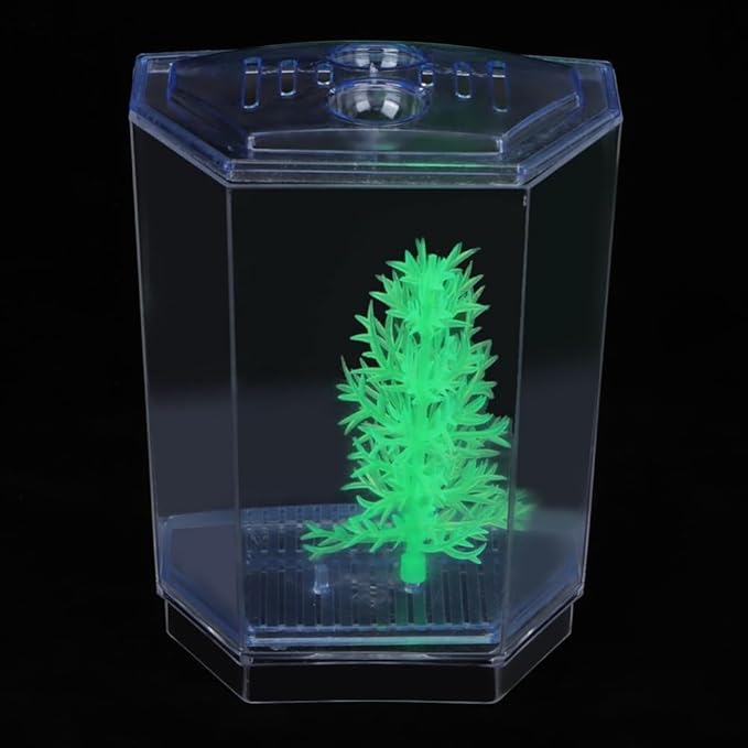 Mini Fish Breeding Box Acrylic Isolation Tank with Dirt Groove for Aquarium Fish Observation and Protection(Single)