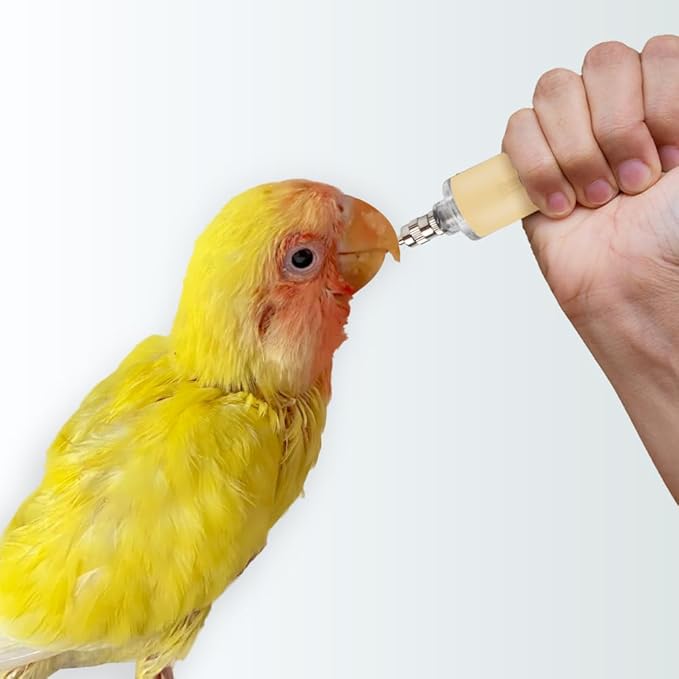 Bird Feeding Syringe Feeding Tubes for Baby Birds Parrot Hand Feeding Syringe with Curved Gavage Tubes and Stainless Steel Metal Feeding Spoon ( 9Pcs)