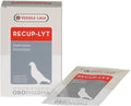 Versele-Laga Recup-Lyt 240gr (electrolyte blend)