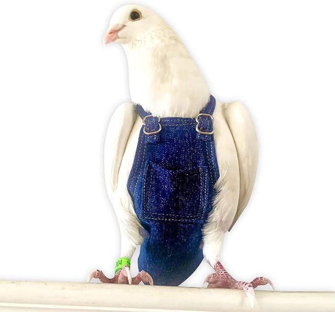 Bev's Bird Boutique Regular Flyper Adjustable Bird Diaper | Reusable, Washable Cloth | Comfort Fit for Parrot, Cockatiels, & Other Small Birds | Fashionable Avian Accessories, Dungaree Jeans, Size 8.5