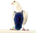 Bev's Bird Boutique Regular Flyper Adjustable Bird Diaper | Reusable, Washable Cloth | Comfort Fit for Parrot, Cockatiels, & Other Small Birds | Fashionable Avian Accessories, Dungaree Jeans, Size 8.5