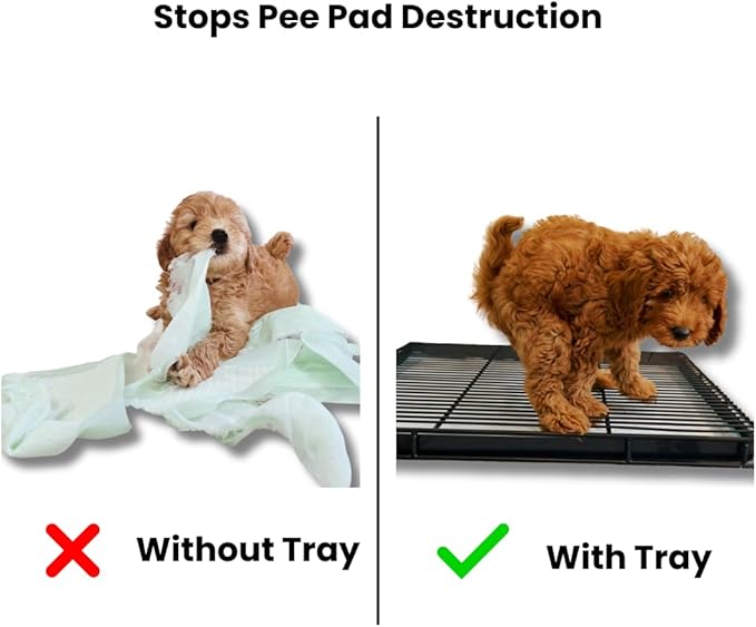 Little Wolves Puppy Potty Tray – 22x22 Shred-Proof Heavy-Duty Training Tray for Puppies & Small Dogs, Easy-Clean, Indoor Dog Pee Pad Holder (Medium Gap)