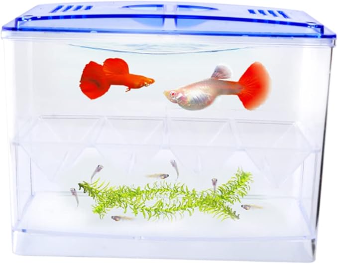 SUPVOX Transparent Small Hatching Box for Betta Fish Functional Aquarium Breeding Tank with Independent Incubator for Enhanced Fish Survival Rate and Easy Cleaning