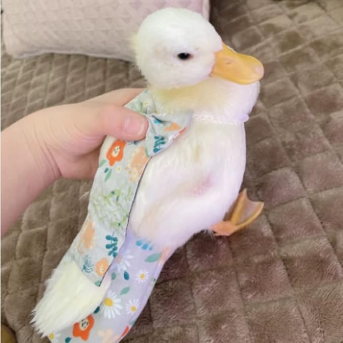 Duck and Chicken Diapers - Special Waterproof, Adjustable, Washable and Reusable for Poultry, Goose - Supplies (750g-900g)