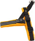 ComfortFlex Sport Dog Harness – No-Choke, Fully Padded, Non-Chafing Harness with Control Handle – Reflective, Lightweight, Adjustable for Active Dogs - XSmall, Saffron Yellow