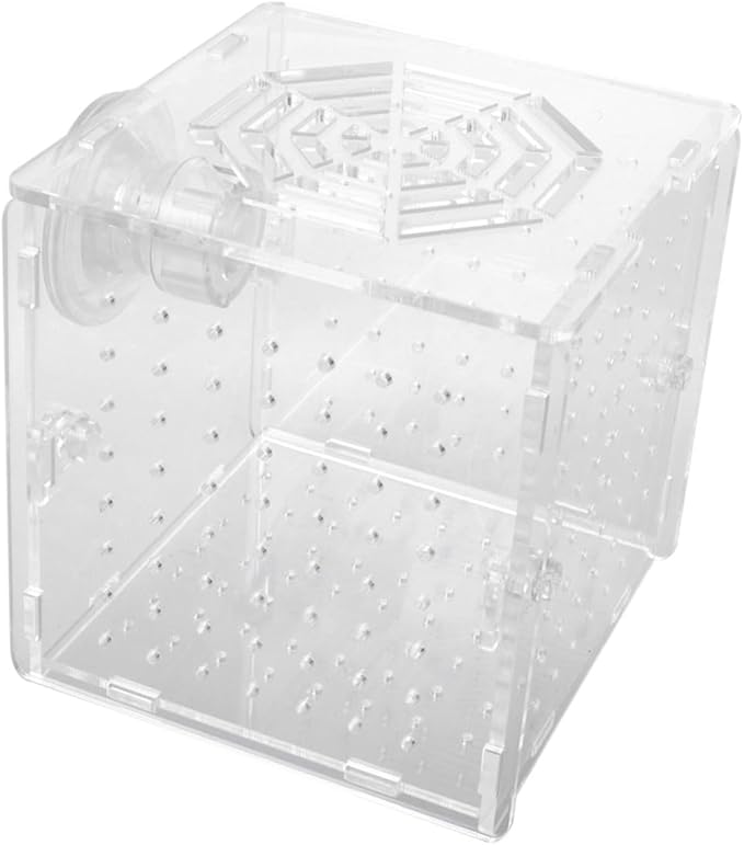 Beaupretty Aquarium Isolation Tank Acrylic Fish Breeding Box for Eggs Protection Observation