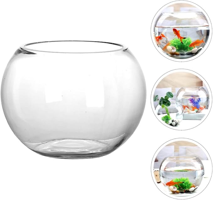 Round Glass Fish Bowl Clear Desktop Aquarium for Small Fish Hydroponics Decor for Home Office Garden