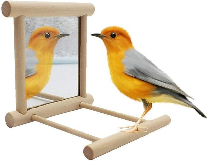 Litewoo Bird Mirror Wooden Hanging Swing Interactive Play Toys for Small Parrot Budgies Macaw African Grey Parakeet Cockatiel Conure Lovebird Cage Accessories (Bird Mirror Perch Stand-2 PCS)