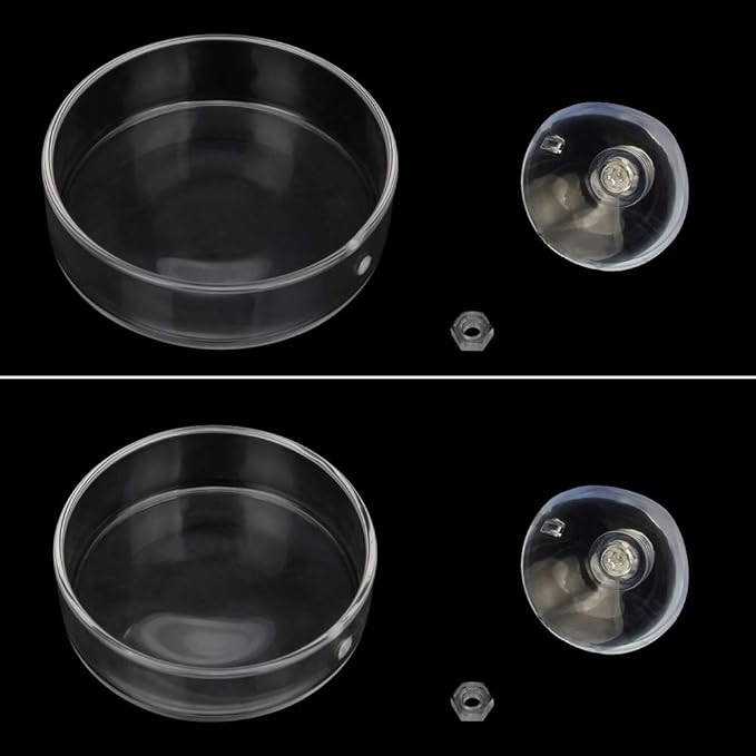 Senzeal 2PCS Shrimp Feeding Dish Glass Aquarium Fish Tank Reptiles Round Feeder Bowl with Suction Cup