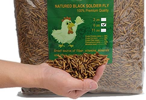 HANDPOINT Black Soldier Fly Larvae Superior to Dried Mealworms for Chickens - Non-GMO - Treats for Birds Chickens Hedgehog Hamster Fish Reptile Turtles (10LB)