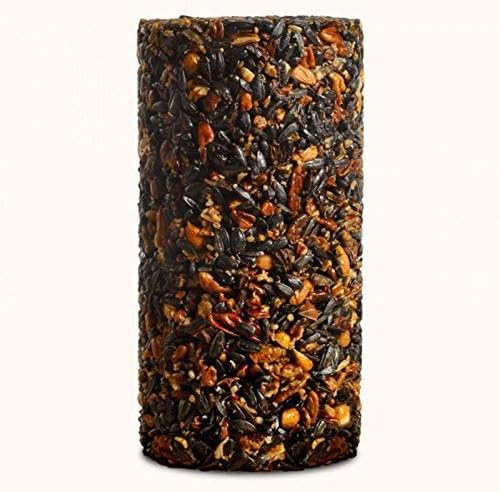4-Pack Mr. Bird Woodpecker Feast Small Cylinder | Wild Bird Food for Outdoor Birds | Backyard Birdfeeding
