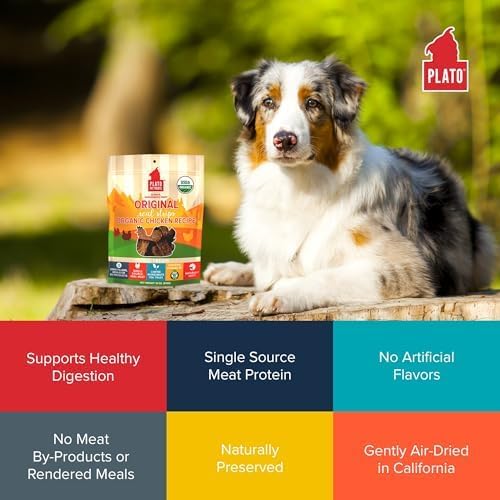 PLATO Pet Treats Real Strips - Air-Dried Meat Bars for Dogs - Delicious, Limited Ingredient Dog Treats - Grain Free Dog Treats - Original Real Strips Organic Chicken 18oz - 2 Pack