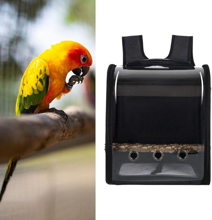 Bird Carrier Bag Backpack Cage Pet Parrot Visible Window Approved Shoulder Strap Large Space Portable Carry Bag for Conures Hiking, Black