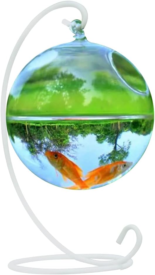 Spherical Glass Handmade Fish for Round Shape Hanging Glass Aquarium Fish Bowl Clear Plant Terrarium