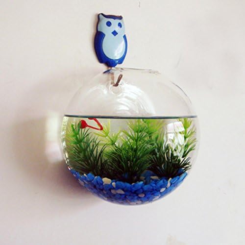 Abyss Pets Wall Mounted Hanging Fish Bowl Aquarium Tank for Gold Fish and Beta Fish, 10"