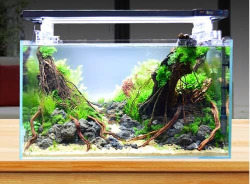 BEGONDIS Rimless Low Iron, Glass Aquarium Tank 5mm Thickness Standard Jointed (7.8" L × 8.6" W × 11" H)