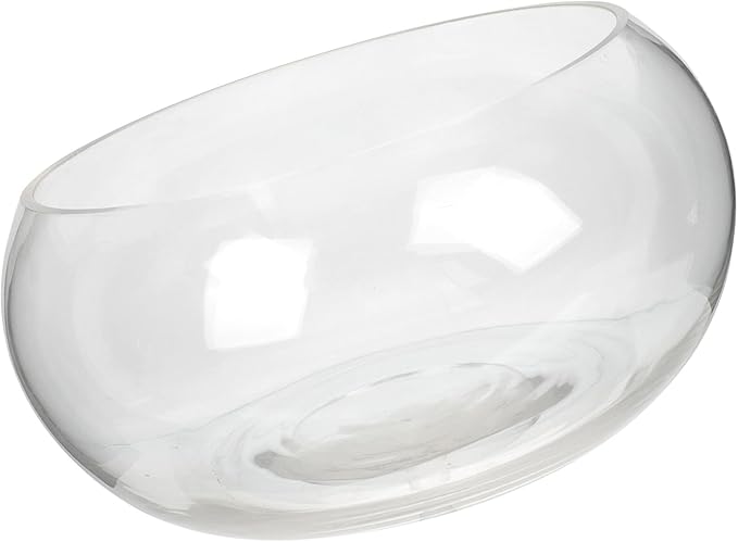BESPORTBLE Glass Goldfish Bowl Fish Tank Hydroponic Plant Planter 25l Desk Aquarium for Office Home Decor