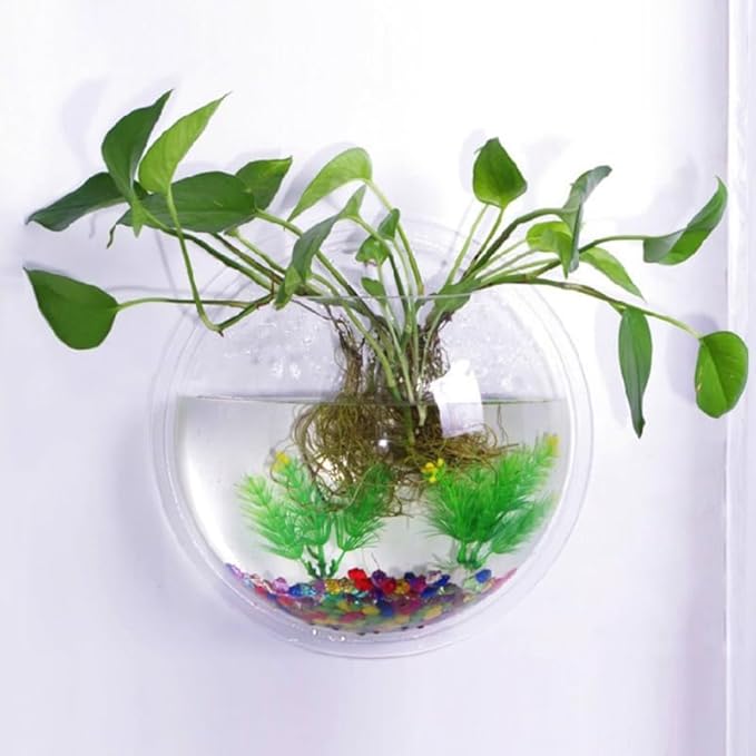 balacoo Wall Mounted Fish Tank 6.7 Inch Acrylic Aquarium with Hanging Design for Home Decor Transparent Fish Bowl with Random Aquatic Plants Ideal for Betta and Small