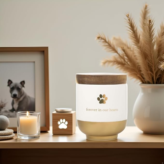 Pearhead Pet Ceramic Forever in Our Hearts Urn, Pet Memorial, Dog Or Cat Keepsake Urn, Rainbow Bridge, Gold
