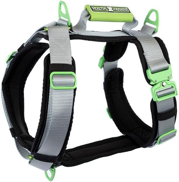 Ultimate Urban Premium Dog Harness - No Choke/Pull/Escape Dog Harness with Adjustable Padding, Heavy Duty, Easy On/Off, High Strength Buckles, Emergency Handle and 3 Connect Points (Silver, L)