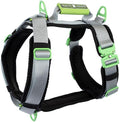 Ultimate Urban Premium Dog Harness - No Choke/Pull/Escape Dog Harness with Adjustable Padding, Heavy Duty, Easy On/Off, High Strength Buckles, Emergency Handle and 3 Connect Points (Silver, XL)
