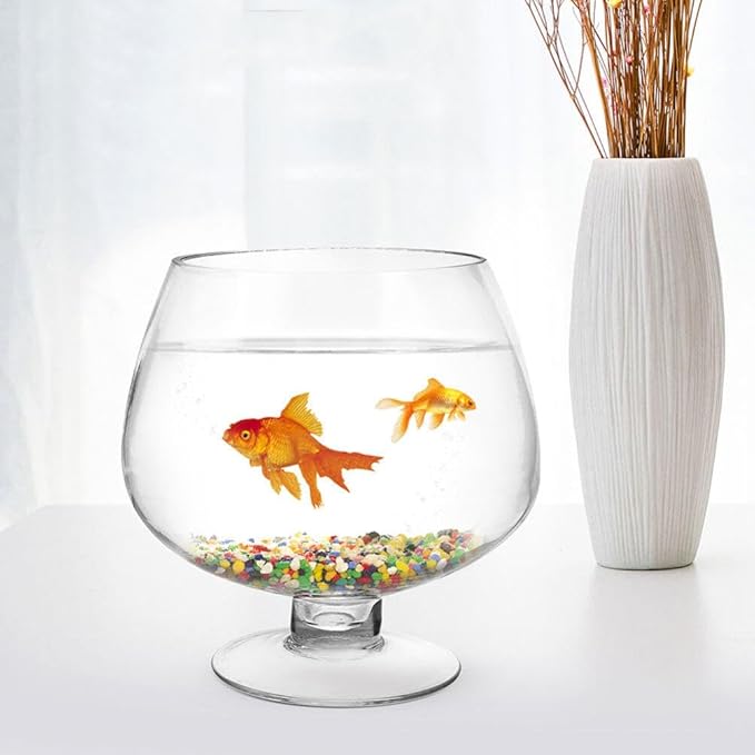 GANAZONO 2pcs Clear Desktop Fish Tank Transparent Betta and Aquarium for Office Decor Easy to Clean Planter Elegant Design for Home Office Use